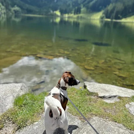Of Heart Holiday home Schladming
